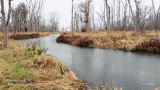 Mill Creek in Honoeye